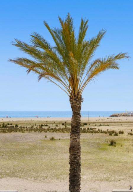 1ª Linea De Playa. Apartamento: La Calma Комаруга Екстериор снимка