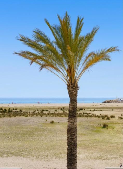1ª Linea De Playa. Apartamento: La Calma Комаруга Екстериор снимка